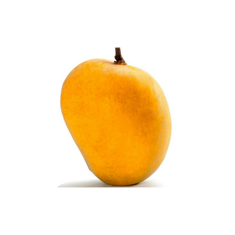 the-alphonso-mango-is-now-completely-traceable