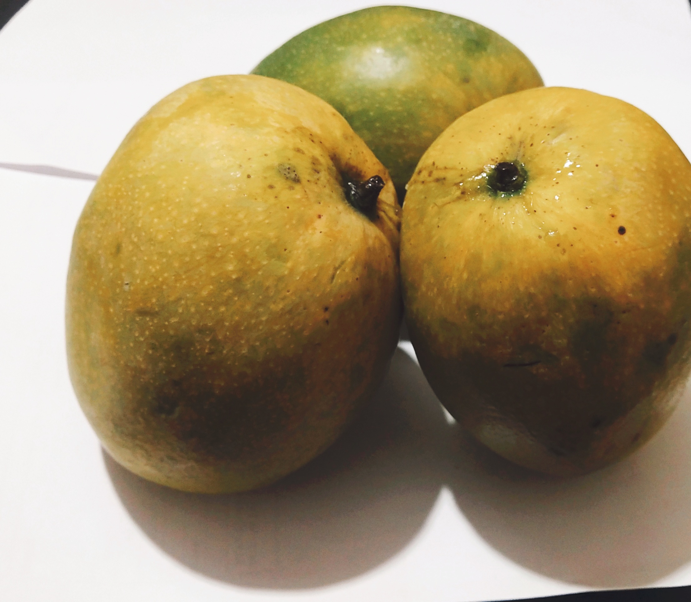 Malgova Mango Online Buy Malgova Mangoes Online Hyderabad